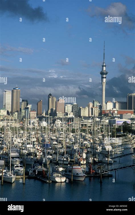 Westhaven Marina Waitemata Harbour Skytower Auckland Skyline New