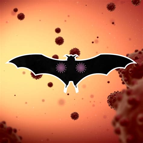 Tech Insider On Twitter Why Bats Can Fight Off So Many Viruses