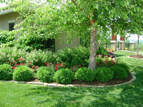 20 Front Yard Tree Landscaping Ideas Ideas Dhomish