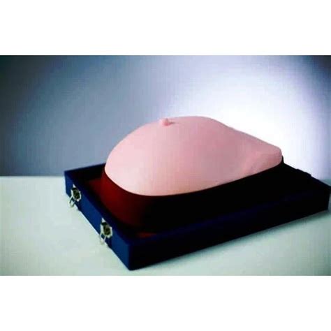 Visual Tactile Breast Examination Simulator Meadows Medical