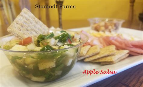Fresh Apple Salsa Storandt Farms