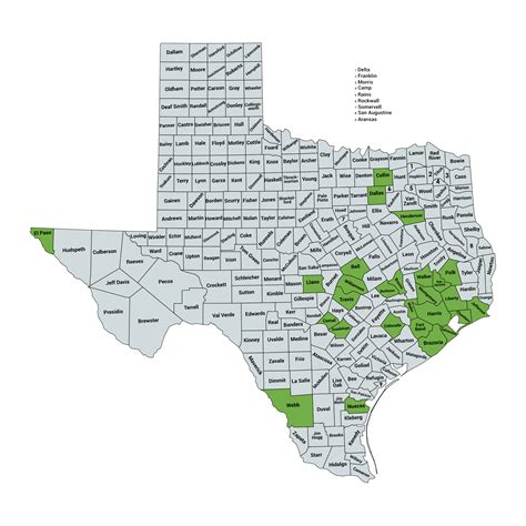 Counties We Serve In Texas — Nettles And Co Property Tax Consulting