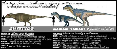 Assets Meet Ancestors Allosaurus By Taliesaurus On Deviantart Jurassic Park World Jurassic