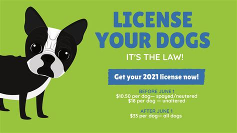 Do All Dogs Need To Be Licensed