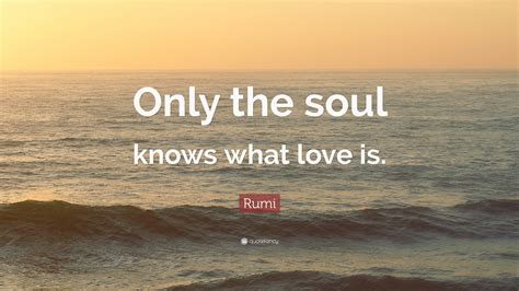 Soul Love Life Rumi Quotes The Quotes