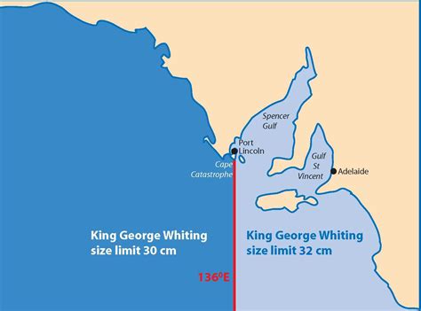 King George Whiting Pirsa