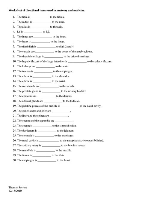 12 Anatomy Practice Worksheets