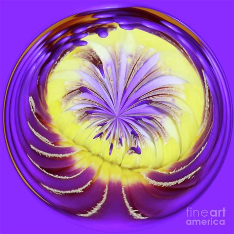 Royal Purple Water Lily Orb 2 Photograph By Judy Whitton