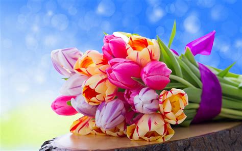 Tulips Bouquet Flowers Hd Desktop Wallpapers 4k Hd