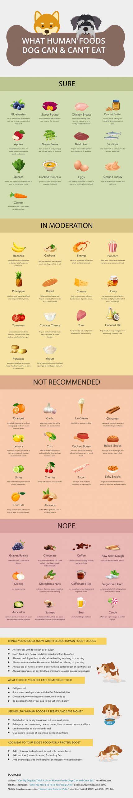 We have compiled a detailed list of the foods dogs can and can't eat below. What Human Foods Dogs Can & Can't Eat - Best Infographics