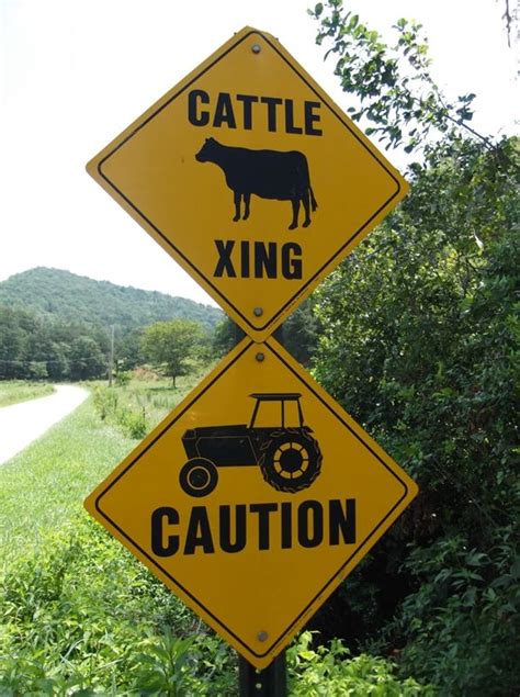 Dont You Just Love Those Country Signs In The Murphy Nc Mountains