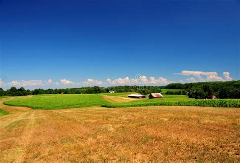 Pennsylvania Farmland Stock Photo Image Of Corn Summer 15132604