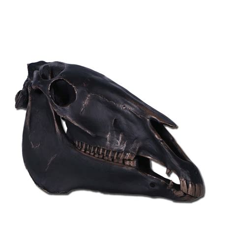 Horse Skull Replica Bronze Sculptures Natureworks
