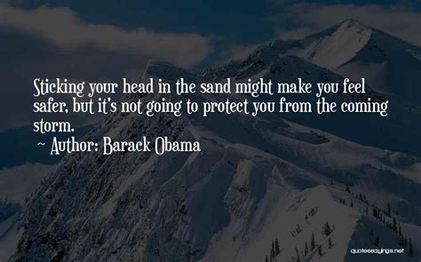Top 30 Quotes And Sayings About Having Your Head In The Sand