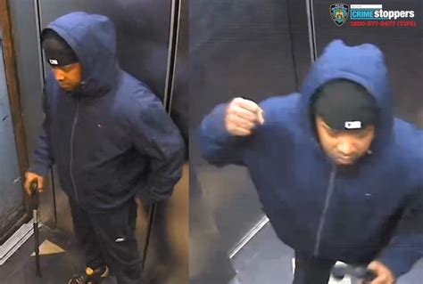 Suspect Followed Woman Into Bronx Elevator Assaulted And Robbed Her