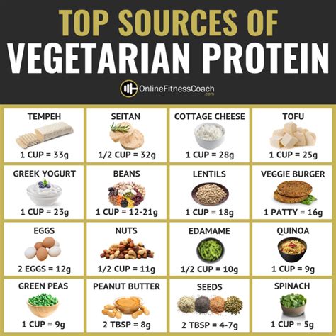 What Are The Best Vegetarian Protein Sources And Supplements