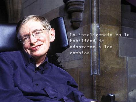 20 Citas Célebres De Stephen Hawking Frases Y Citas Célebres