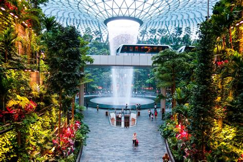 Jewel Changi Airport Reopens Canopy Park With Special Bundle