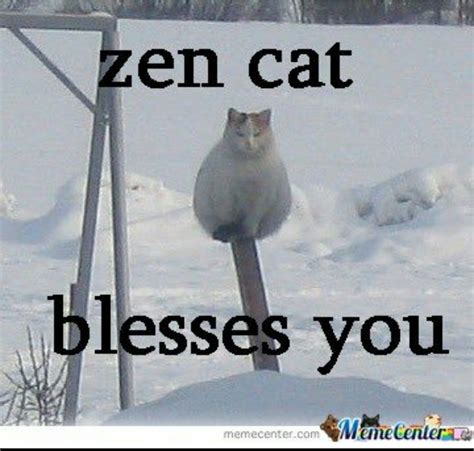 Pin By Karen D On Just Funny Ninja Cats Cats Funny Cats