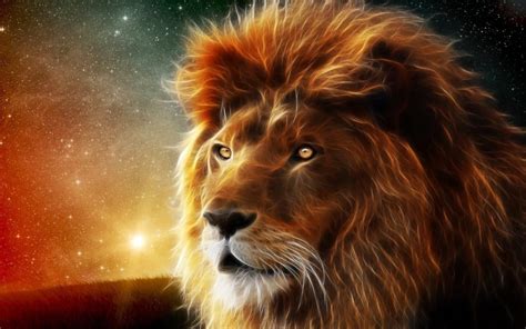 10 Most Popular Hd Lion Wallpapers 1080p Full Hd 1920×1080 For Pc