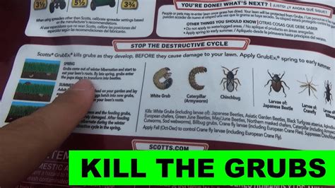 Psa Time To Apply Grubex1 Kill The Grubs Before They Kill Your Lawn