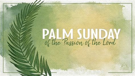 Palm Sunday Of The Passion Of The Lord April 2 2023 Archdiocese Of Bombay Live Youtube