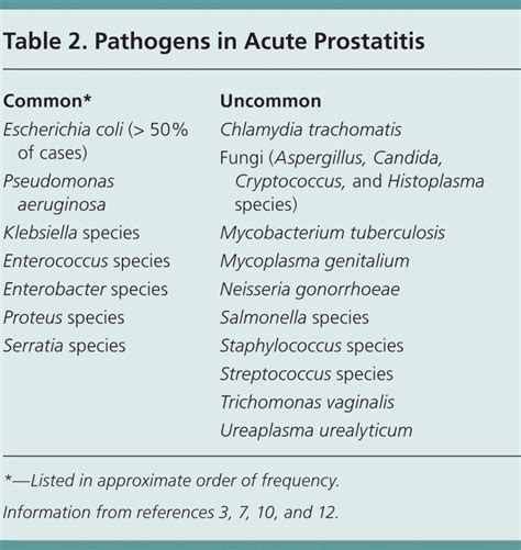 Acute Bacterial Prostatitis Diagnosis And Management AAFP