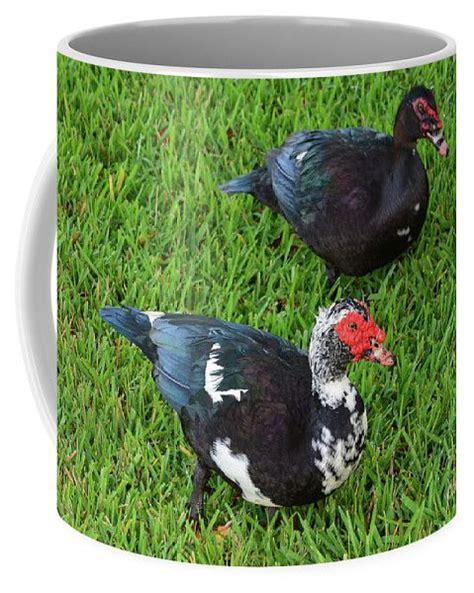 104 Mr And Mrs Muskovy Coffee Mug By Joseph Keane Coffee Mugs