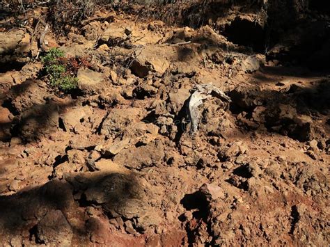 See 192 unbiased reviews of lava we had a great meal at lava rock on our first night on maui. Lone log in lava rock stock image. Image of oregon ...
