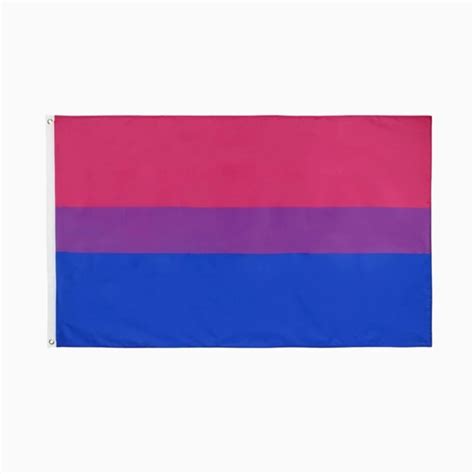 Bisexual Pride Flag Twin Cities Pride