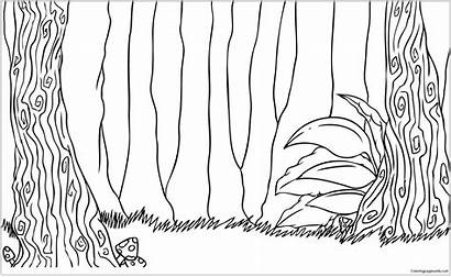 Forest Coloring Pages Draw Jungle Drawing Drawings