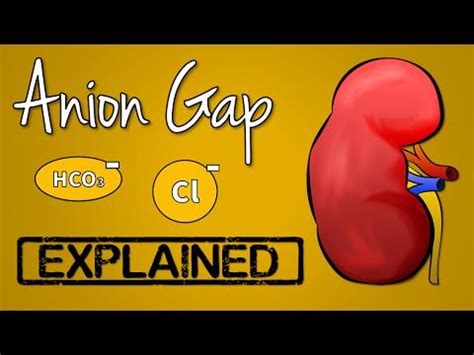 Anion Gap EXPLAINED YouTube Anion Gap Nursing Lab Values Neonatal