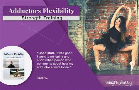 Adductors Flexibility And Strength Training Easyflexibility