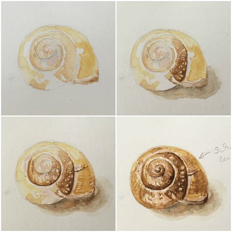 Diese methode birgt jedoch einen großen nachteil, da auch nützlinge darin sterben können. Schnecken im Naturskizzenbuch - Gesche Santen