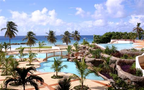 배경 화면 바다 만 바닷가 관광 여행 야자수 수영장 의지 열렬한 라군 여름 카리브 해 휴가 재산