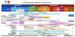 Serious Updated Pocket Size Antibiotic Chart Sheet Medicalschool
