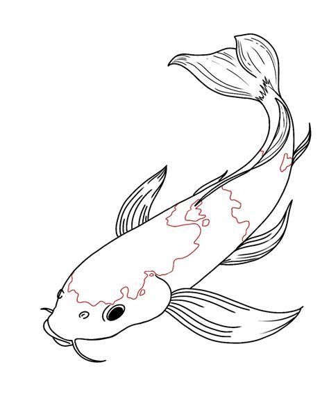 How To Draw Koi Fish Step 9 Koi Fish Drawing Fish Drawings Koi Painting