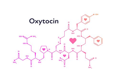 Oxytocin Oxytocin C43h66n12o12s2 Pubchem Learn About Side Effects
