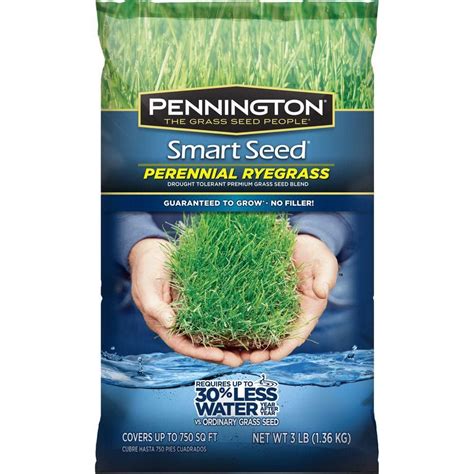 Pennington Smart Seed 3 Lb Perennial Ryegrass Blend 118538 The Home