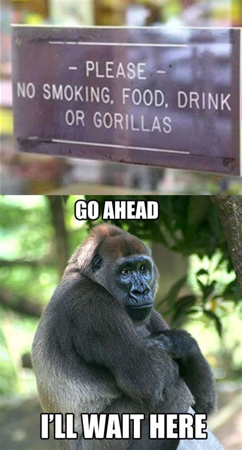 It may seem like quote captions are reserved for selfies or travel pics, but there. Top funny pictures and Jokes of the week | Quotes and Humor