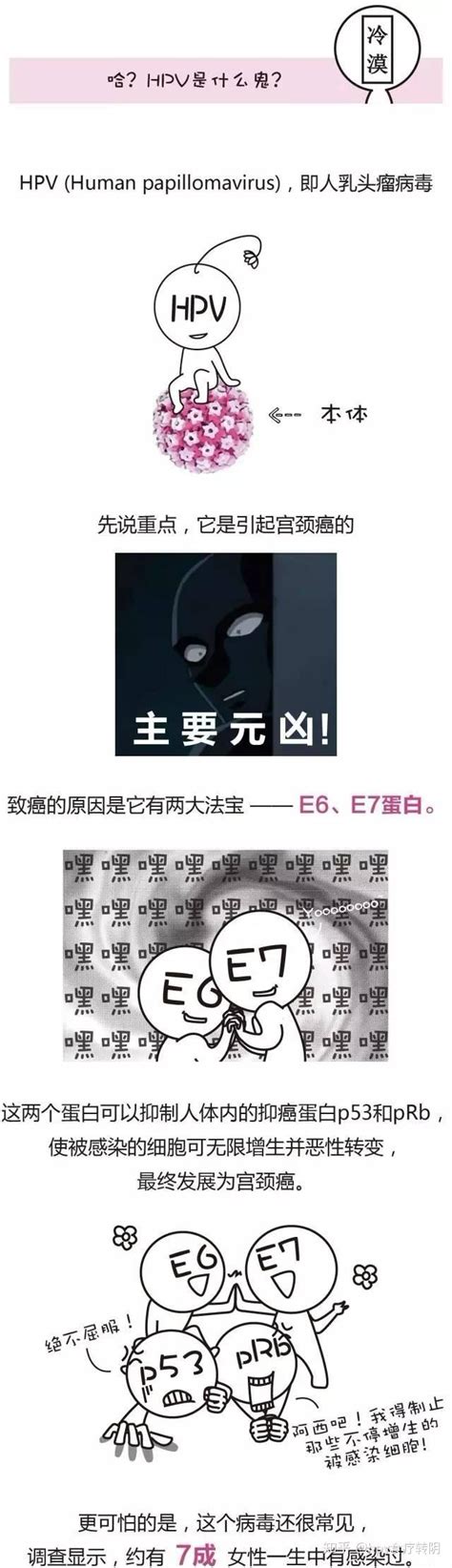 一组漫画，为你轻松了解hpv与宫颈癌的前世今生 知乎