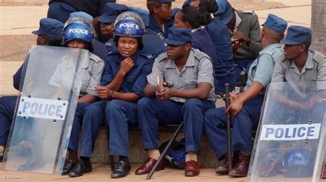 Zimbabwe Police Officers Accused Of Illegally Removing 84 Tons Of Lithium Ore Report Focus