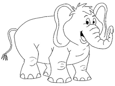 Coloring Pages For Animals Elephant Big Animals Coloring Pages
