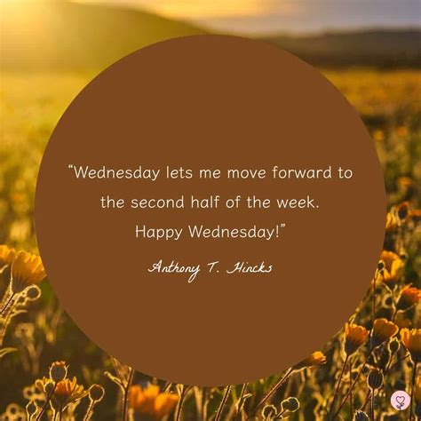 Hump Day Blues 50 Wednesday Quotes To Get You Through