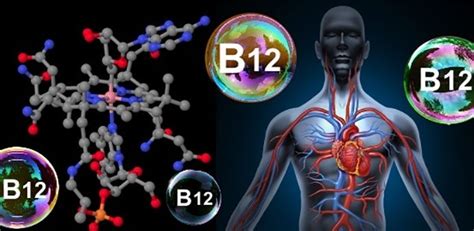 Síntomas De Alarma De La Deficiencia De La Vitamina B12 Y Cómo
