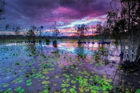 Cattai Wetlands Sydney Australia Official Travel And Accommodation