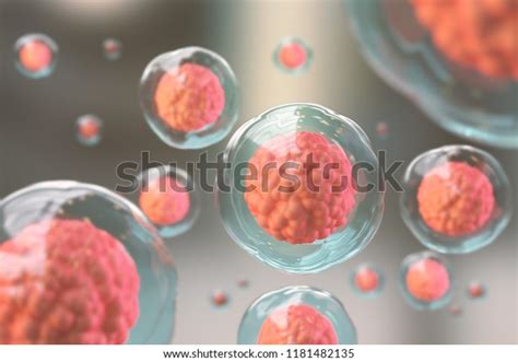 Microscope Cell Embryonic Stem Cells Cellular Stock Illustration 1181482135