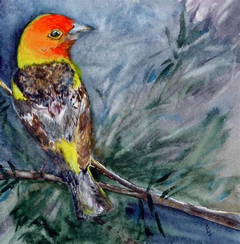 Western Tanager Painting By Beverley Harper Tinsley