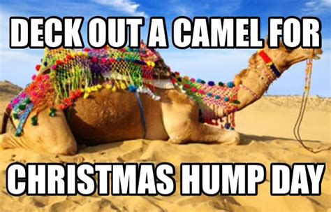 Pin On Hump Day Camels
