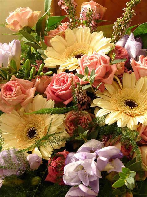 If you live or work in new york city, chicago, or philadelphia, and need flowers delivered right away, we can help. Flowers are traditional | Online flower delivery, Flower ...